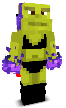 User's Minecraft appearance