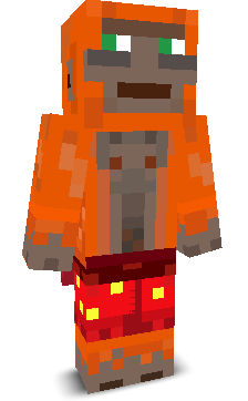 User's Minecraft appearance