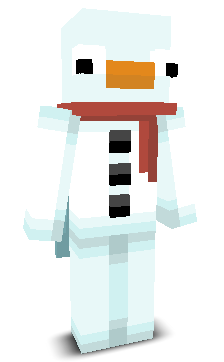 User's Minecraft appearance
