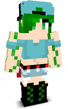 User's Minecraft appearance