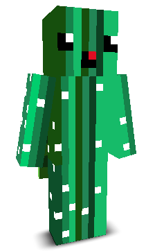 User's Minecraft appearance