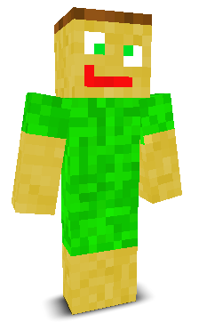 User's Minecraft appearance