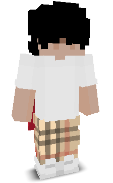 User's Minecraft appearance