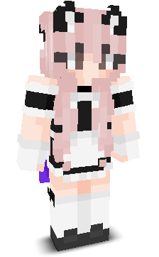 User's Minecraft appearance