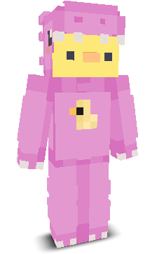 User's Minecraft appearance