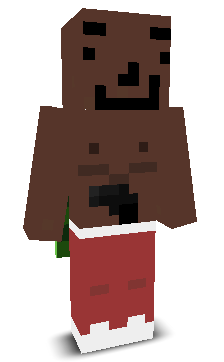 User's Minecraft appearance