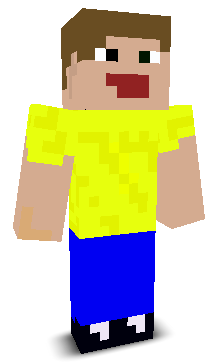 User's Minecraft appearance
