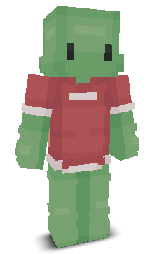 User's Minecraft appearance