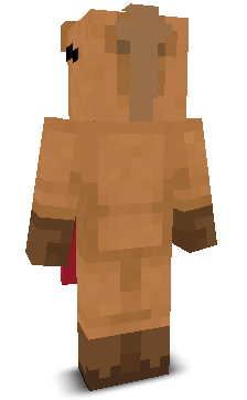 User's Minecraft appearance