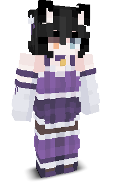User's Minecraft appearance