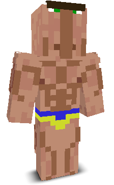 User's Minecraft appearance