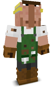 User's Minecraft appearance