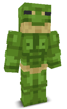 User's Minecraft appearance