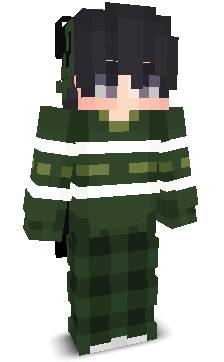 User's Minecraft appearance