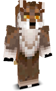 User's Minecraft appearance