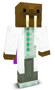 User's Minecraft appearance