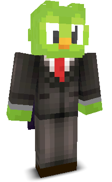 User's Minecraft appearance