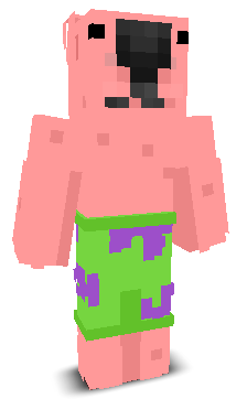 User's Minecraft appearance