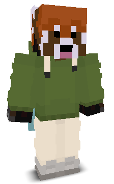 User's Minecraft appearance