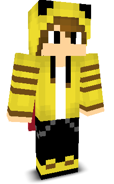 User's Minecraft appearance