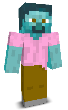User's Minecraft appearance