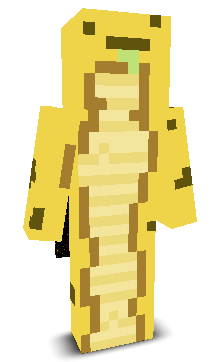 User's Minecraft appearance