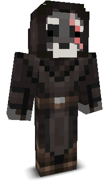 Skin gracza 0saj