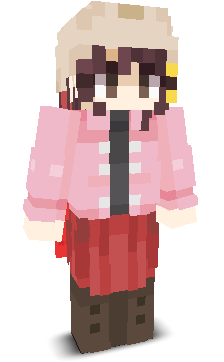 User's Minecraft appearance