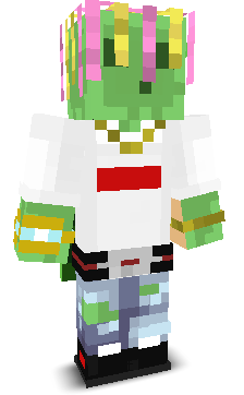 User's Minecraft appearance