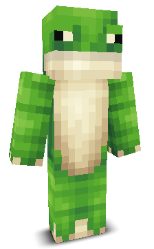 User's Minecraft appearance