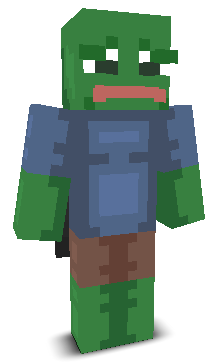 User's Minecraft appearance