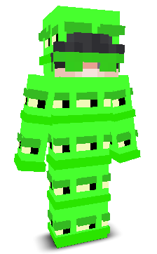 User's Minecraft appearance