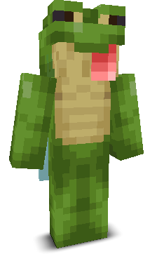 User's Minecraft appearance