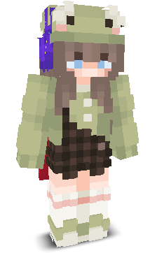 User's Minecraft appearance