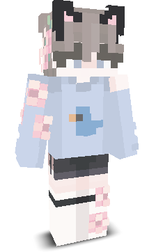 User's Minecraft appearance