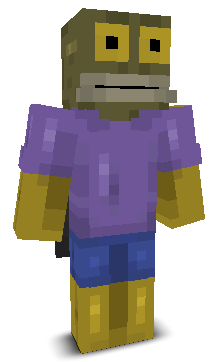 User's Minecraft appearance