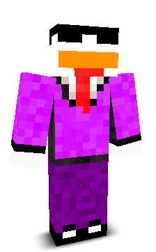 User's Minecraft appearance