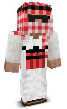 User's Minecraft appearance