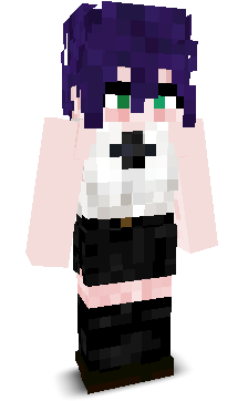 User's Minecraft appearance