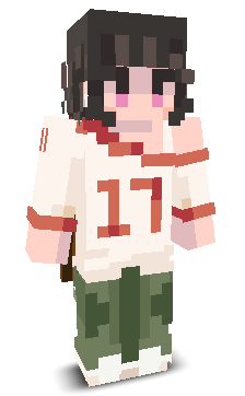 User's Minecraft appearance