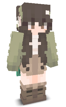 User's Minecraft appearance