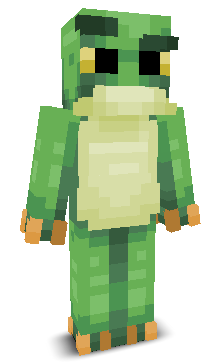 User's Minecraft appearance