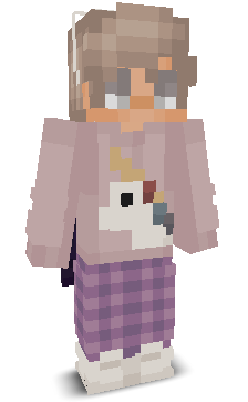 User's Minecraft appearance