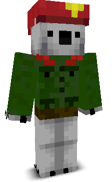 User's Minecraft appearance