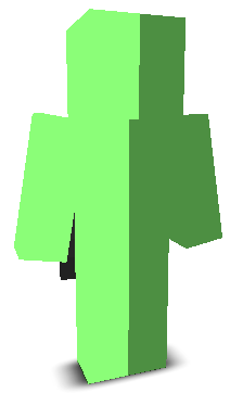 User's Minecraft appearance