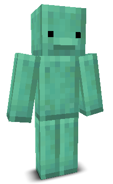 User's Minecraft appearance
