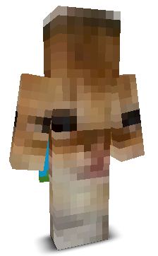 User's Minecraft appearance