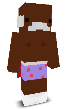 User's Minecraft appearance