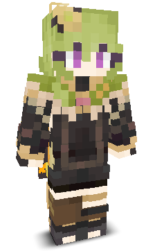 User's Minecraft appearance