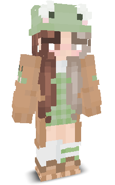 User's Minecraft appearance